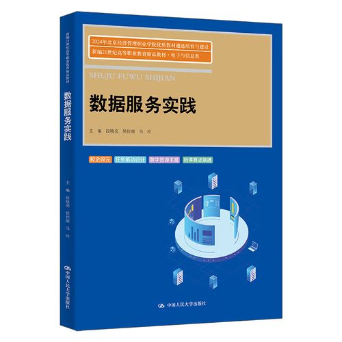 數(shù)據(jù)服務(wù)實踐 從理論框架到行業(yè)落地的關(guān)鍵路徑